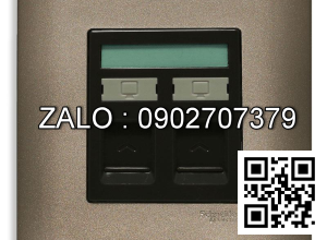 Bộ 2 ổ cắm mạng Clipsal / Schneider E8432RJS_5_SZ_G19