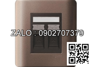 Ổ cắm mạng Clipsal / Schneider E8432TDRJS_5SZ_G19