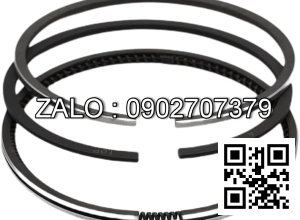 Bạc xéc măng động cơ YANMAR 6HA2M-HTE , 6 CYL , CM3