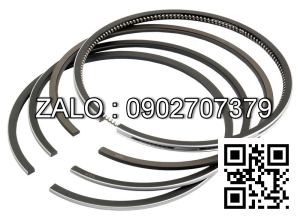 Bạc xéc măng động cơ YANMAR L48AE D /M , 1 CYL , CM3