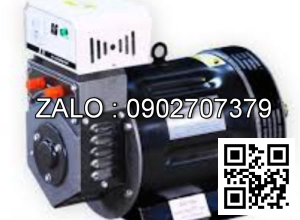 Đầu phát điện Hữu Toàn HTA12.5S