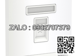 Ổ cắm mạng Clipsal / Schneider E8331RJS6_WE_G19