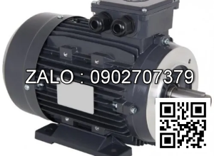 Motor giảm tốc Wanshsin 1/2HP 400W 28mm 15-30 ( Chân đế - mặt bích )