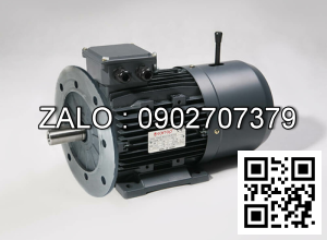 Motor giảm tốc WANSHSIN mặt bích 1/8 HP 100W đầu cốt lòi 28mm , tỉ số truyền 210-1800