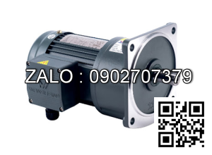 Motor giảm tốc 3 pha mặt bích TransmaX 0.75kW 1/40 32mm