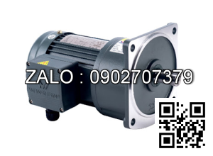 Motor giảm tốc 3 pha mặt bích TransmaX 200W 1/200 28mm