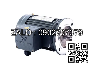 Motor giảm tốc 3 pha mặt bích Wanshsin GV28-400W-70S
