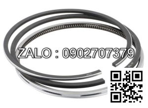 Bạc xéc măng động cơ F4L 1011 Germany