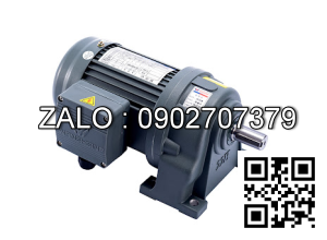 Motor giảm tốc 3 pha chân đế Wanshsin GH18-100W-10S