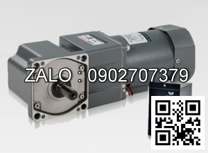 Motor giảm tốc mini Wanshsin 100YS180DV22 180W 1 Pha 220V