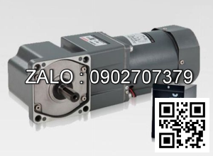 Motor giảm tốc mini Wanshsin 60YS06GV22 6W 1 Pha 220V
