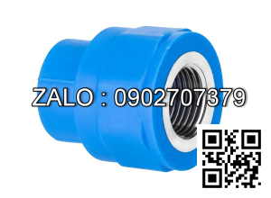 Nối nhựa giảm MS RN/RT 21/27 Đệ Nhất