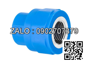 Nối nhựa giảm MS RN/RT 49/34 Đệ Nhất