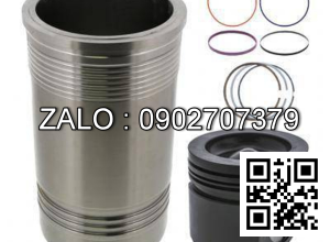 Bộ hơi động cơ SCANIA DC09 080A , , CM3