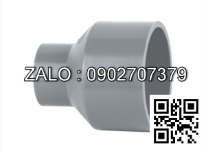 Nối nước nhựa giảm MS RT/RN 60/34 Đệ Nhất