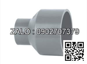 Nối nước nhựa giảm MS 168/49 Đệ Nhất