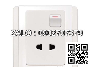 Ổ cắm đơn 2 chấu Clipsal / Schneider E3015US_WW_G19