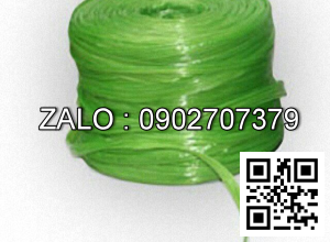 Dây ni lông bẹ