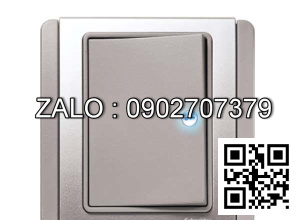 Công tắc 1 chiều Clipsal / Schneider E3031H1_EBGS_G19