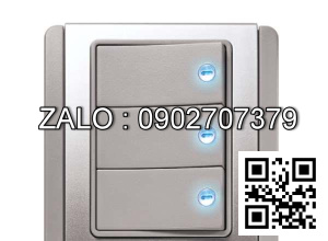 Bộ 3 công tắc 2 chiều Clipsal / Schneider E3033H2_EBGS_G19