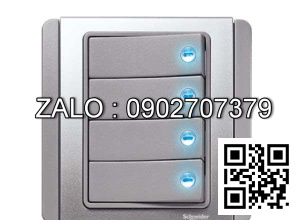 Bộ 4 công tắc 2 chiều Clipsal / Schneider E3034H2_EBGS_G19