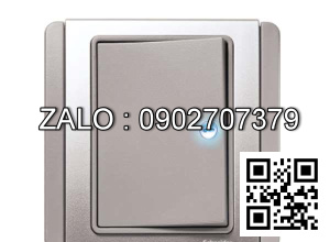 Bộ công tắc trung gian Clipsal / Schneider E3031HIA_EBGS_G19