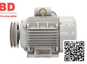 Motor khí dao mài P1V-SO30A0460