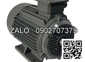 Motor điện chân đế YE2-132S2-2-B3, công suất : 7.5kW , Đường kính trục : 38mm , Tốc độ : 2 Cực ( ~2800 Vòng/Phút)