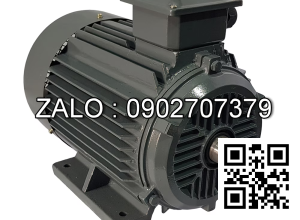 Motor điện chân đế YE2-180L-4-B3, công suất : 22kW , Đường kính trục : 48mm , Tốc độ : 4 Cực ( ~1400 Vòng/Phút)