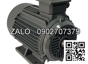 Motor điện chân đế YE2-90S-6-B3, công suất : 0.75kW , Đường kính trục : 24mm , Tốc độ : 6 Cực ( ~900 Vòng/Phút)