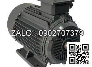 Motor điện chân đế YE2-200L2-6-B3, công suất : 22kW , Đường kính trục : 55mm , Tốc độ : 6 Cực ( ~900 Vòng/Phút)