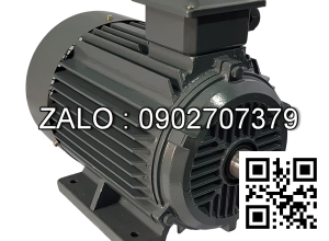 Motor điện mặt bích YE2-80M-4-B5 , Công suất : 0.75kW , Đường kính trục : 19mm , Tốc độ : 4 Cực ( ~1400 Vòng/Phút)