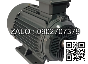 Motor điện mặt bích YE2-132M1-6-B5 , Công suất : 4kW , Đường kính trục : 38mm , Tốc độ : 6 Cực ( ~900 Vòng/Phút)