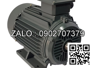 Motor điện mặt bích YE2-180L-6-B5 , Công suất : 15kW , Đường kính trục : 48mm , Tốc độ : 6 Cực ( ~900 Vòng/Phút)