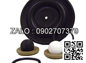 Bi bơm màng FT10P-PP-2TPC-F1