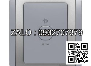 cổng sạc USB 2.1A Clipsal / Schneider E3031USB_GS_G19