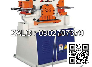 Máy cắt đột liên hợp 45 tấn IW-45M