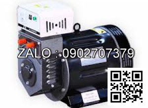 Đầu phát điện Hữu Toàn HTA4.0S