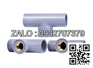 Tê nhựa giảm Răng trong thau T RT 49/27 Bình Minh