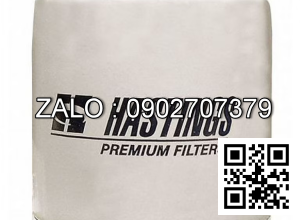 HASTINGS FILTER  GF209 