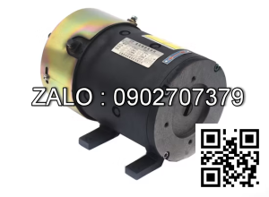 Steering Motor XQD-0.8-5