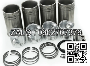 piston động cơ DEUTZ BF4L1013FC , 4 CYL , CM3