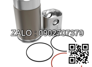 Bộ hơi động cơ DEUTZ F2M1011F , 2 CYL , CM3