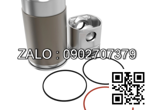 Bộ hơi động cơ DEUTZ F2L912 , 2 CYL , CM3