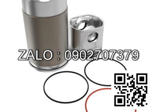 Bộ hơi động cơ DEUTZ F4L912W , 4 CYL , CM3