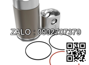 Bộ hơi động cơ DEUTZ F4L2011 , 4 CYL , CM3