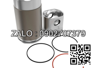 Bộ hơi động cơ DEUTZ BF6M1013E , 6 CYL , CM3