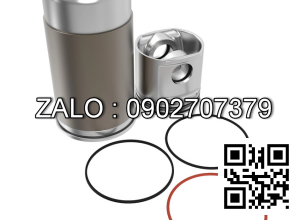 Bộ hơi động cơ DEUTZ 1015 M , 6 CYL , CM3