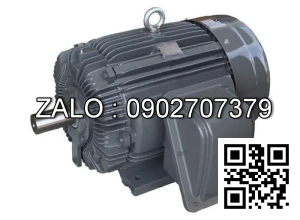 Motor điện WEG 132L, 3P, 7.5kW, 1460rpm, 50hz, kiểu lắp B3, IP 55