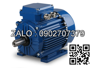 Motor điện AESU-2P-5.5HP, 380 - 50HZ - IP55